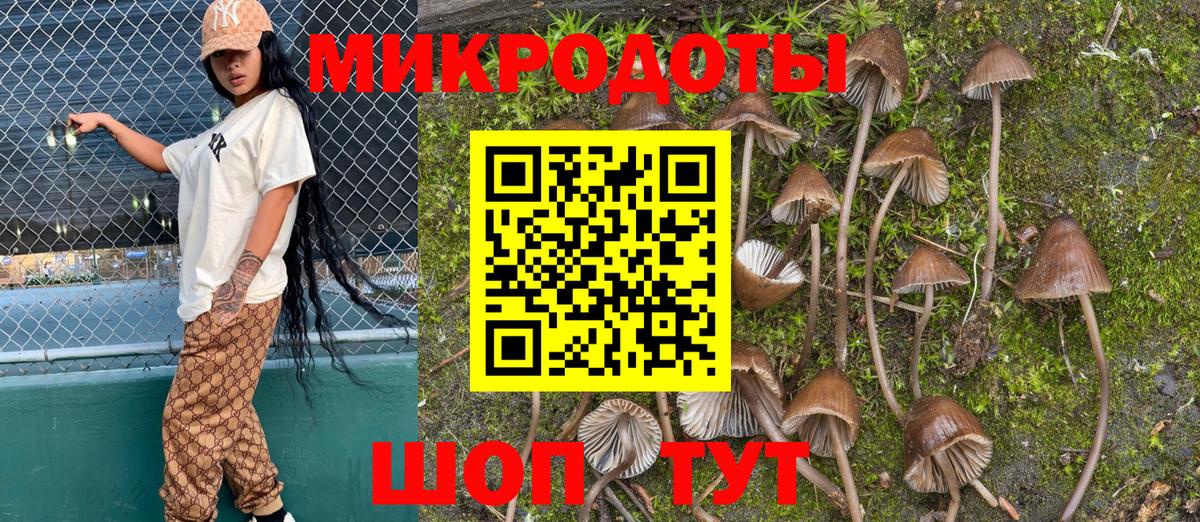 Галлюциногенные грибы мухоморы Вязники