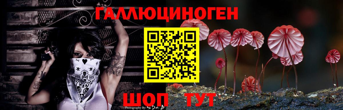 Галлюциногенные грибы Psilocybe  Вход с VPN  Псилоцибиновые грибы GOLDEN TEACHER  Вязники 